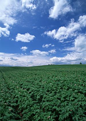 静岡県富士市に新しくオープンした家族葬専門斎場「家族葬のタクセル天間」の詳細と魅力