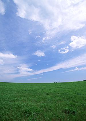 静岡県焼津市の家族葬に特化した斎場｜家族葬のタクセル東小川の魅力と概要