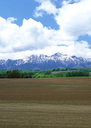 【静岡県浜松市】家族葬専門の斎場・葬儀場「家族葬のタクセル領家」の詳細と特徴