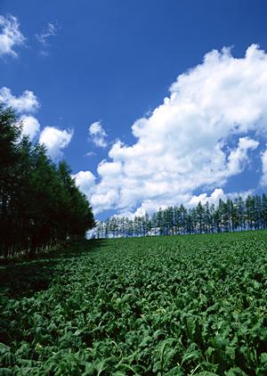 富士葬祭焼津中央：静岡県焼津市における充実の葬儀サービスと安心のサポート体制