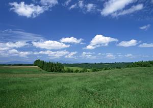 静岡県掛川市にある信頼の葬儀場【富士葬祭 掛川】の特徴と概要