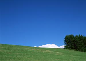 静岡県富士市の小規模家族葬に最適な葬儀場：富士葬祭 富士青島の特徴とサービス内容
