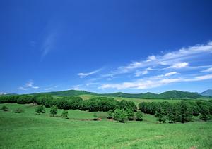 静岡市清水区にある信頼の葬儀場【富士葬祭 双樹】の特徴とサービス内容