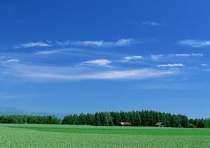 静岡市駿河区にある【公式】家族葬のタクセル西中原｜高品質で低価格な家族葬専門斎場