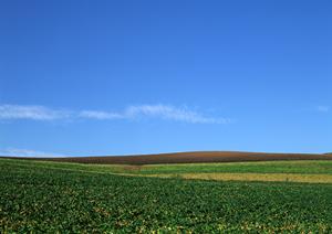 鹿児島での家族葬・ペット葬の選び方とおすすめ葬儀サービスガイド
