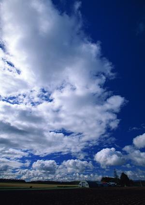 富士市原田の安心葬儀を提供する【富士葬祭 富士原田】の特徴と詳細情報