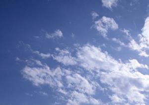 樹木墓地にご遺骨を埋葬するメリット