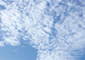 静岡県内で選ばれる家族葬と火葬サービス｜費用や斎場情報を徹底解説