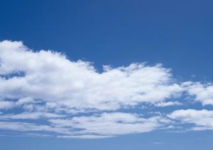 静岡市で信頼の葬儀サービスを提供する富士葬祭 材木町の詳細と特徴