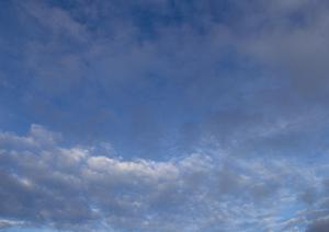 川越市で選ばれる信頼の葬儀サービス徹底ガイド｜安心と納得のプランとサポート